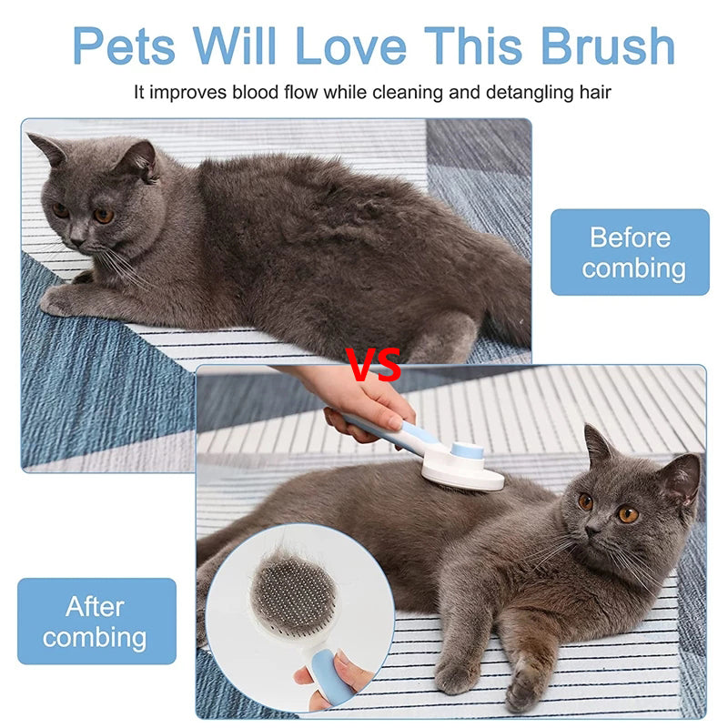 Pet Brush